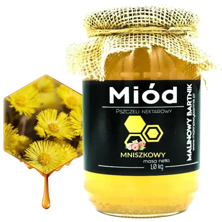 MniszekGlowne.webp